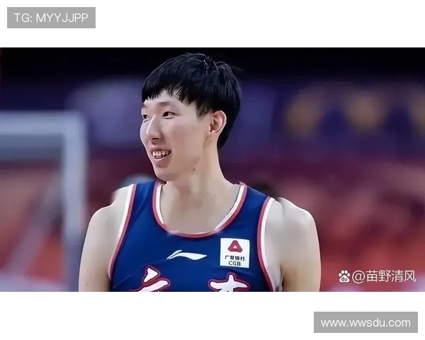 媒体人分析周琦单打风格对球队进攻流畅性的影响与战术调整建议