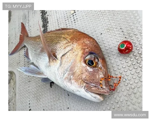 拉什福德分享海钓乐趣笑容灿烂展现多彩业余生活